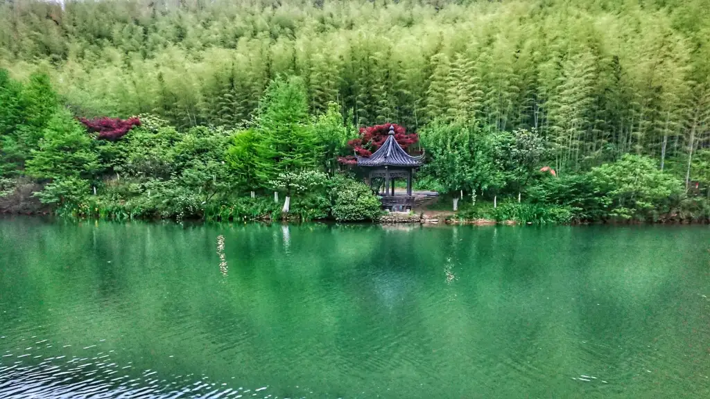 食用油与大米加工技术升级对餐饮供应链的影响分析