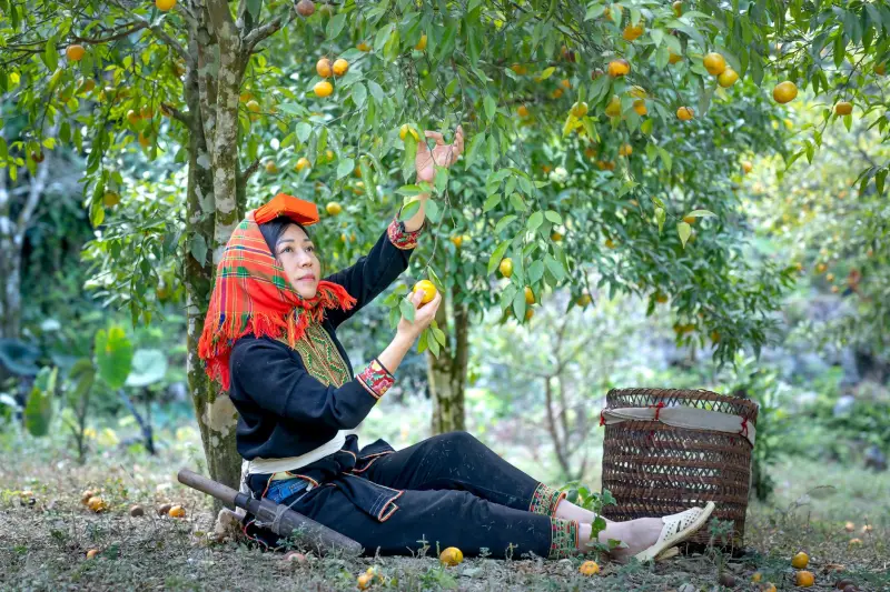2025年粮油行业标准动态：面粉及食用油质量检测技术解析